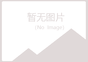 介休紫山水泥有限公司